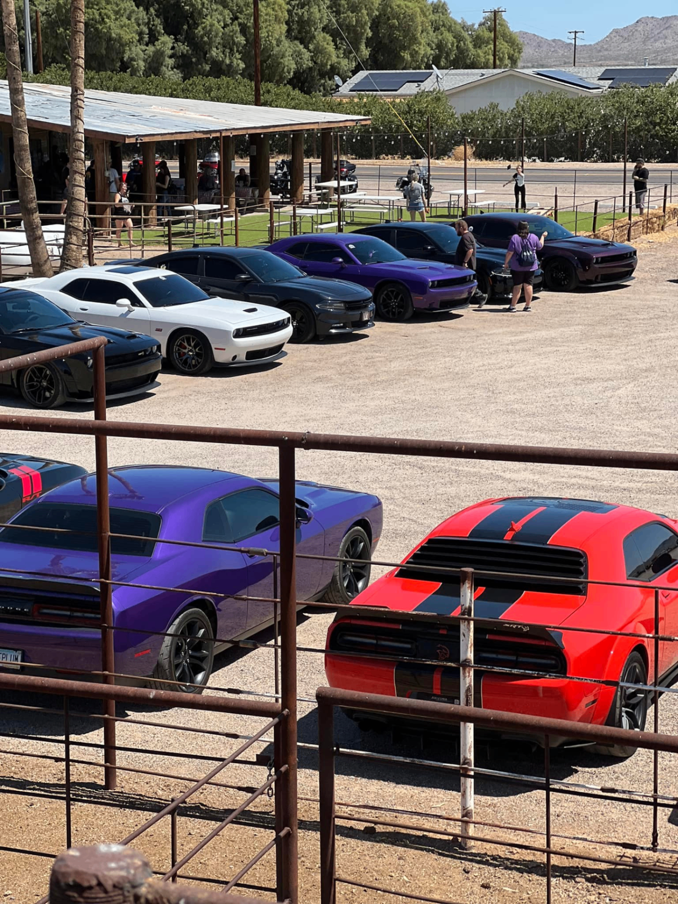Classic and muscle cars gathered outside the Desert Rose Bar & Grill in Arlington, AZ for a weekend car meet