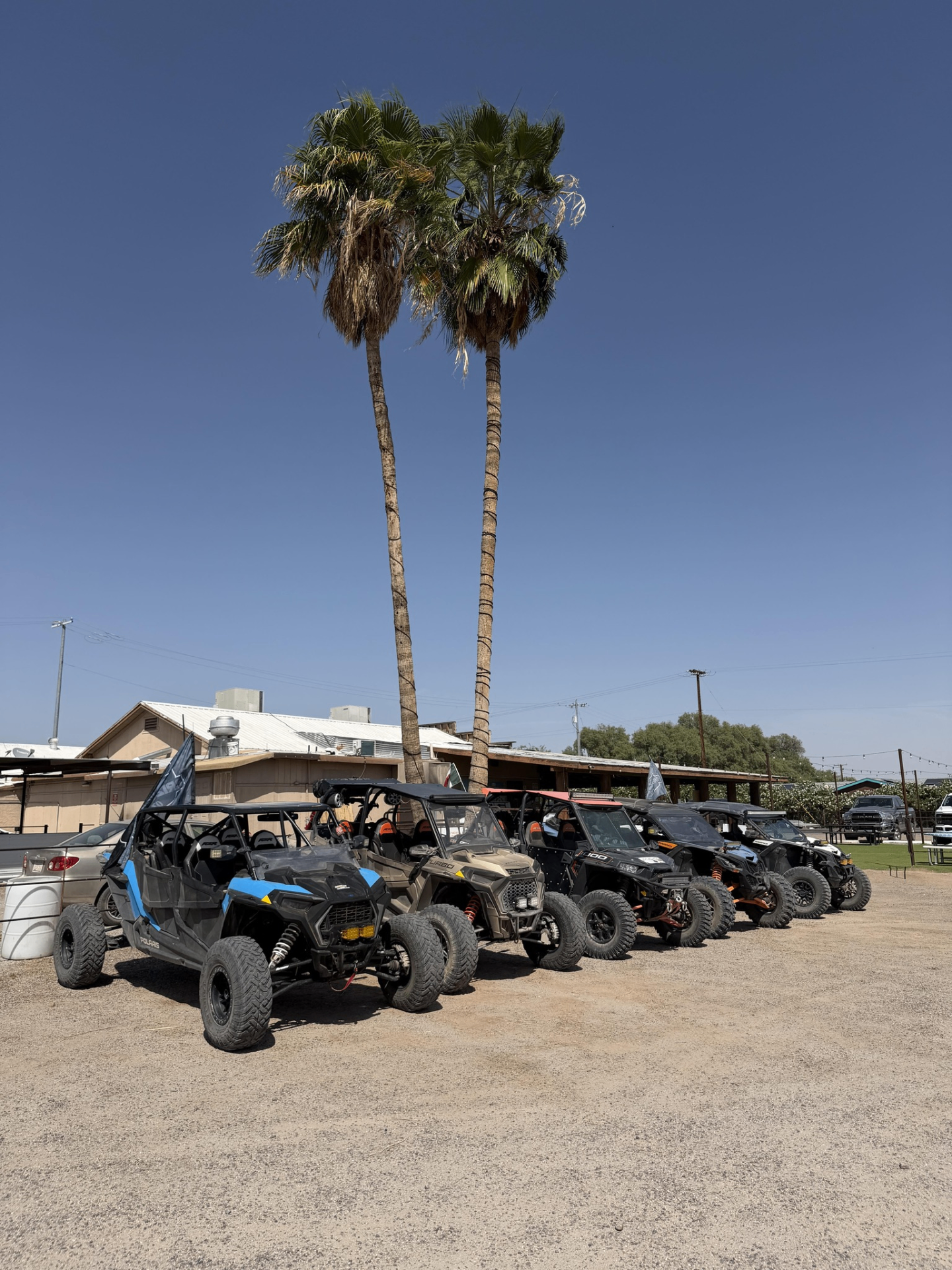 Side-by-sides and UTVs lined up under the palms at the Desert Rose Bar & Grill in Arlington, Arizona